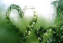 中国女足亚洲杯夺冠是哪一年？